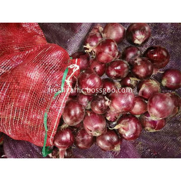 Fresh Red Onion Best Quality